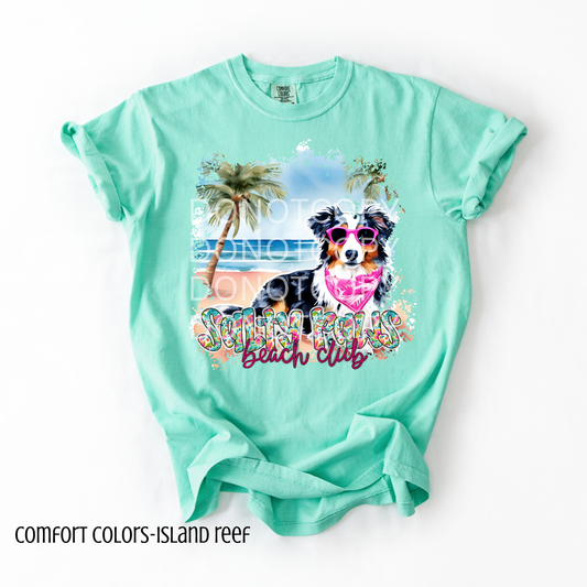 Salty Paws beach club tshirt - Australian Shepard